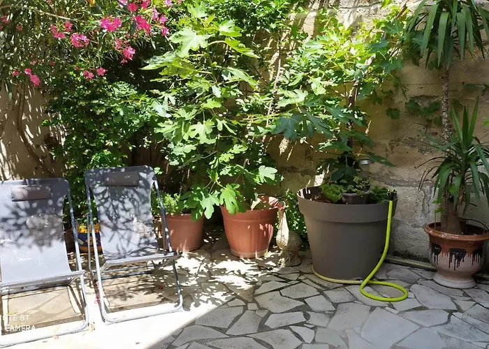 Hôtel accueillant les animaux: Chambres d'hôtes indépendantes au rez-de-chaussée d'une maison provençale dont une avec cour intérieure